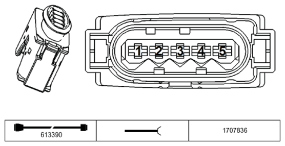 G11234623