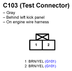 G11250118