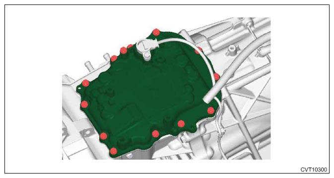 G11255663