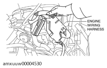 G11275799