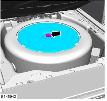 G11335461