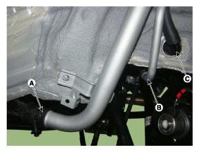G11355198
