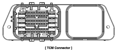 G11404599