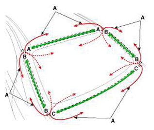 G11405782