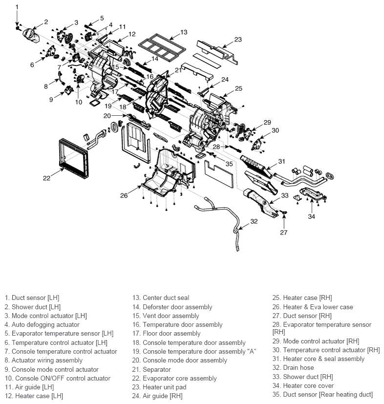 G11420031