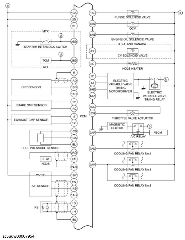G11427362