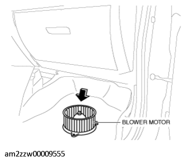 G11431295
