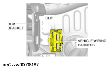 G11433889