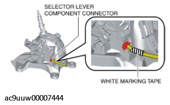 G11434892