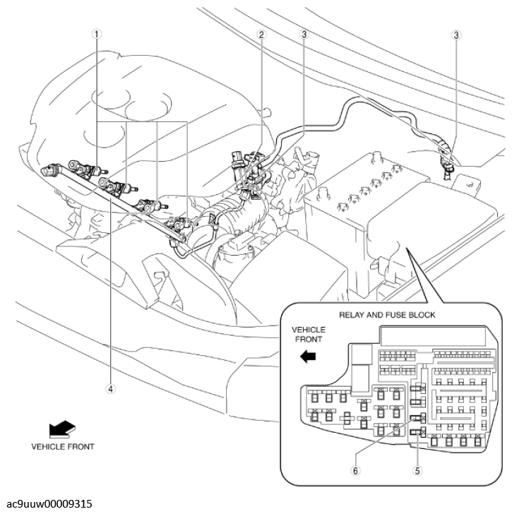 G11436361