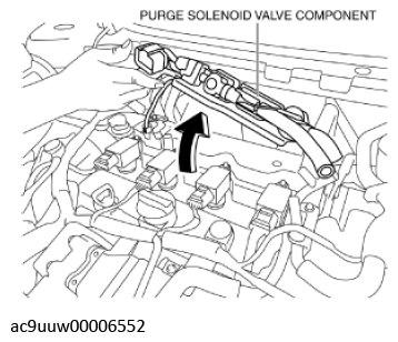 G11436406