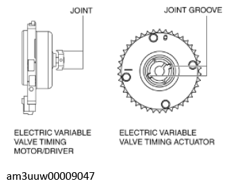 G11436592