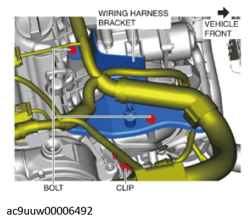 G11436810