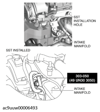 G11436811