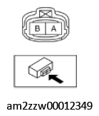 G11436898