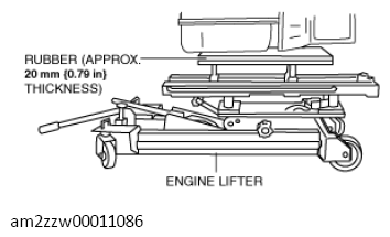 G11437218
