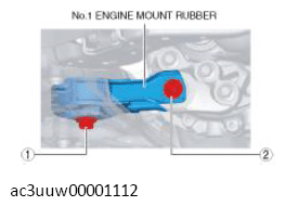 G11437232