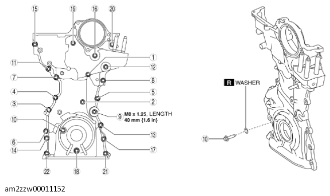 G11437341