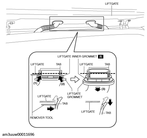 G11447666