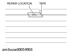 G11449081