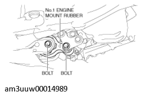 G11539829
