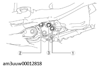 G11539833