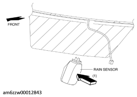 G11546380