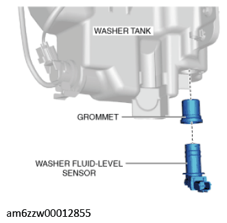 G11546384
