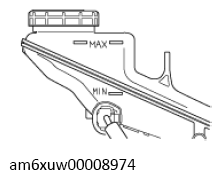 G11546433