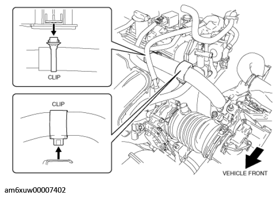 G11546721
