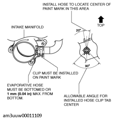 G11549864