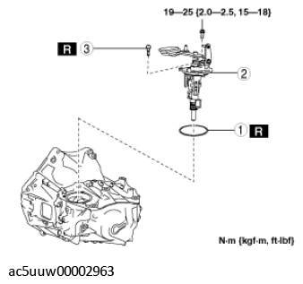 G11555294