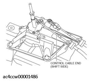 G11555302