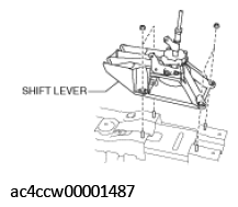 G11555305