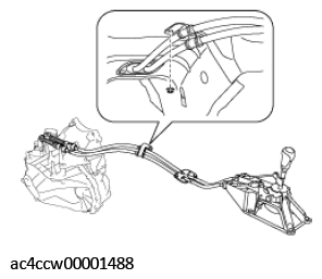 G11555308