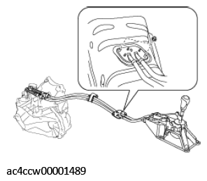 G11555309
