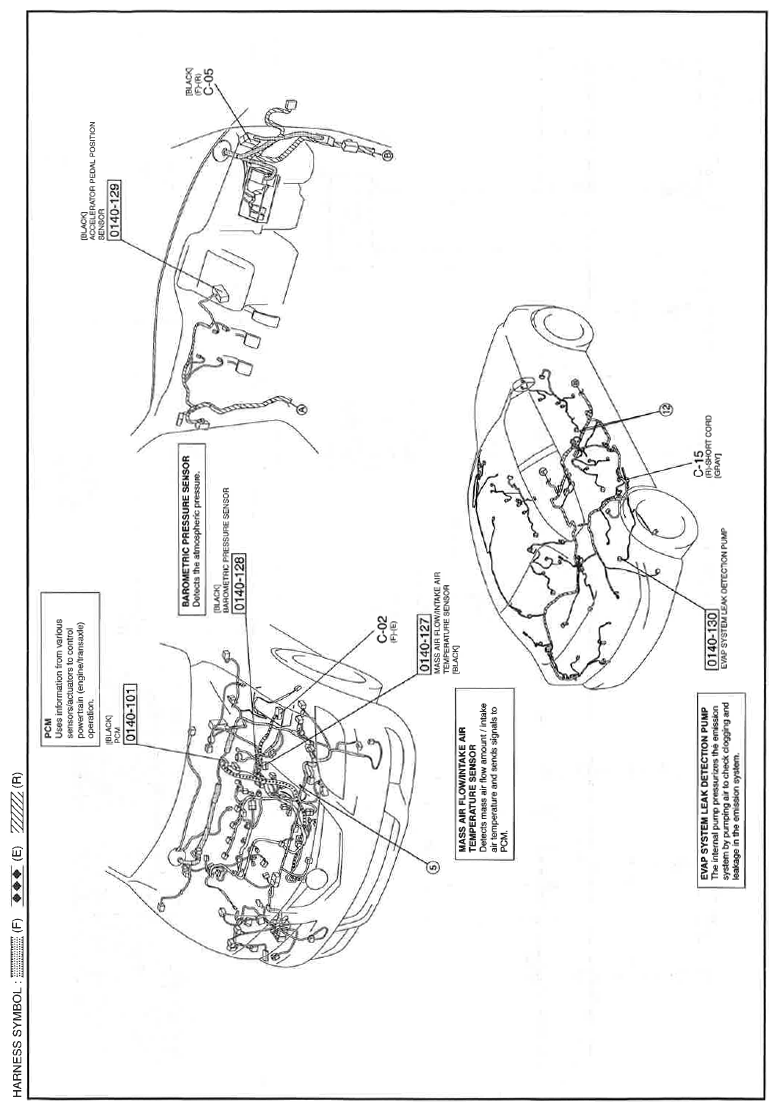 G11559172