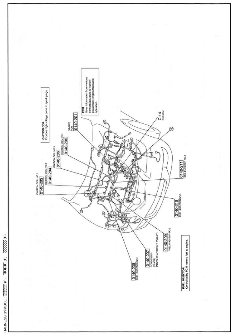 G11559182
