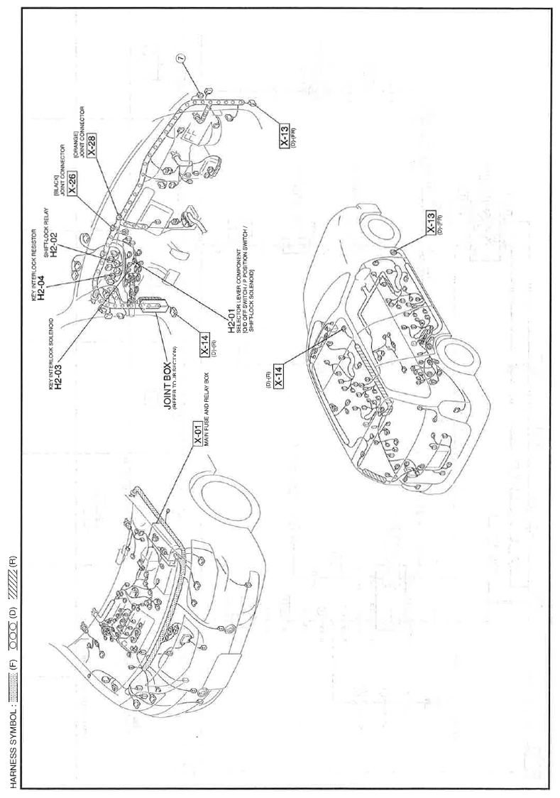 G11559931