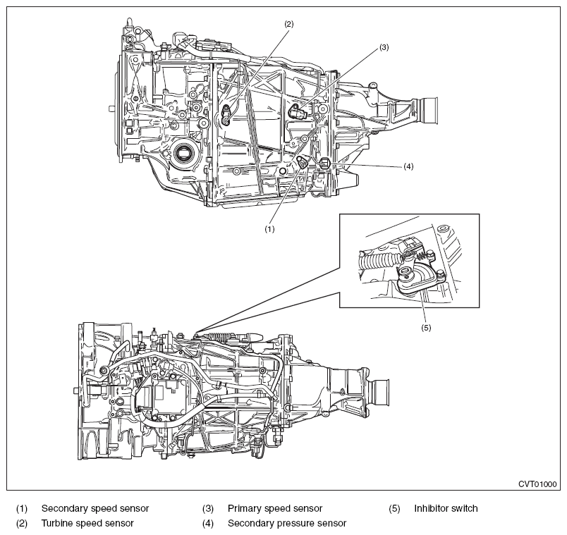 G11575394