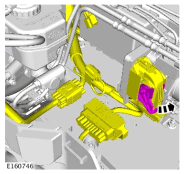 G11599983