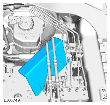 G11599985