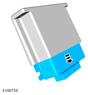 G11599986