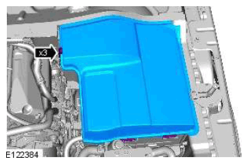 G11607538