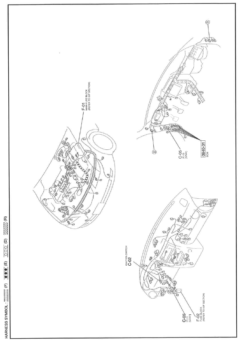 G11614904