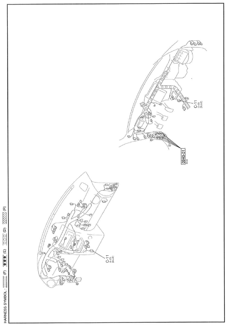 G11614906