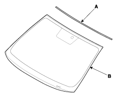 G11632486