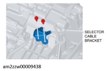 G11637682