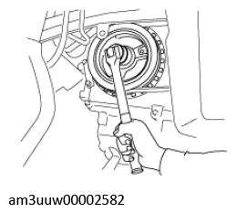 G11637686