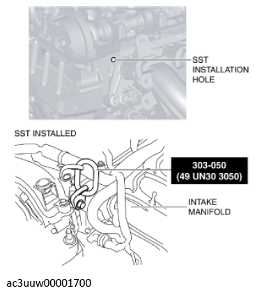 G11637691